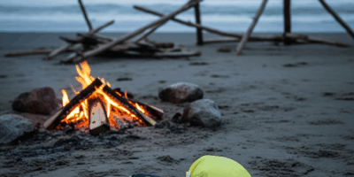 Survivor Contestants Who Quit and What Happened Next